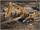 1:50 RC Bagger die-cast Vers. 2 RTR | Bild 6