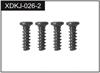 2.3*5 Screws (4)