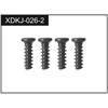 2.3*5 Screws (4)