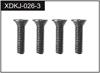 2*8 Screws (4)