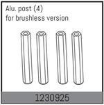 Aluminiumpfosten (4)