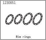Beadlock Ringe (4)