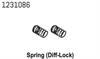 Diff-Lock Federn CR4.4 (2)