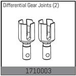 Differential Mitnehmer (2)