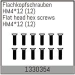 Flachkopfschrauben mit Feingewinde HM4*12/12 Stück