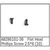 Flat Head Phillips Screw 2.5*6 - Mini AMT (10)