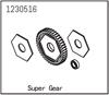 Hauptzahnrad mit Slipperplatten