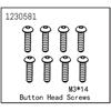 Kopfschraube M3*14 (8)