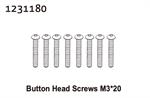 Kopfschrauben M3*20 (8)