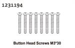 Kopfschrauben M3*30 (8)