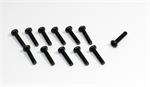 Kreuzschlitzschrauben M3x10 (12) Buggy/Truggy