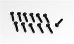 Kreuzschlitzschrauben M3x14 (12) Buggy/Truggy
