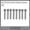 M2.5×20 button head screws (8)