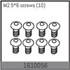 M2.5*6 screws (10)