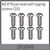 M2.6*8 pan head selt-tapping screws (10)