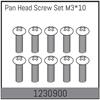 M3*10 Kopfschrauben (10)