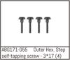 Outer Hex. Step Self-Tapping Screw M3*17 (4)