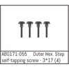 Outer Hex. Step Self-Tapping Screw M3*17 (4)