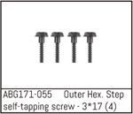 Outer Hex. Step Self-Tapping Screw M3*17 (4)