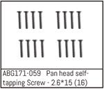 Pan Head Screw M2.6*15 (16)