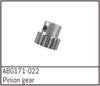 Pinion Gear