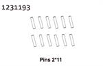 Pins 2*11 (12)