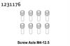 Pinschrauben M4*12.5 (8)