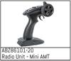 Radio Unit - Mini AMT