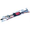 RCE-BL45P Brushless ESC(Governer Mode)