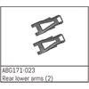 Rear Lower Arms (2)