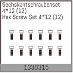 Sechskantschraubenset 4*12 (12)