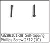 Self-tapping Phillips Screw 2*12 - Mini AMT (10)