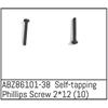 Self-tapping Phillips Screw 2*12 - Mini AMT (10)