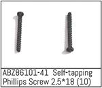 Self-tapping Phillips Screw 2.5*18 - Mini AMT (10)