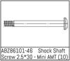 Shock Shaft Screw 2.5*30 - Mini AMT (10)