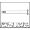 Shock Shaft Screw 2.5*30 - Mini AMT (10)
