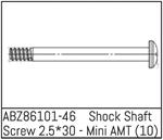 Shock Shaft Screw 2.5*30 - Mini AMT (10)