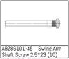 Swing Arm Shaft Screw 2.5*23 - Mini AMT (10)