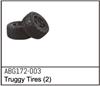 Truggy Wheels (2)