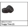 Truggy Wheels (2)
