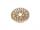 Ventilated brake disc 1/8th (SER903251)