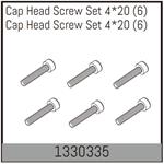 Zylinderkopfschraubenset 4*20 (6)