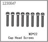 Zylinderschraube M3*22 (8)