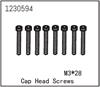 Zylinderschraube M3*28 (8)