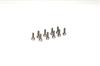 Inox Zylinderschraube M2X6 (10)