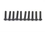 Screw allen roundhead m2.5x10 (10) (SER110131)