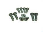 Screw titanium RH allen M3x10 (10)