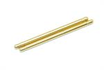 Hingepin FR / RR TiN coated (2) (SER600490)