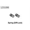 Diff-Lock Federn CR4.4 (2)
