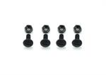 Screw M5x10 + Nut nylon black (4+4) (SER110181)